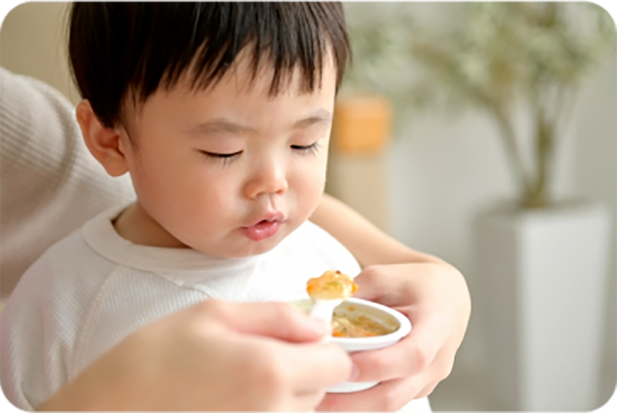 学校・保育園の給食に